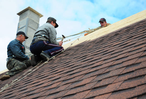 Quick and Trustworthy Emergency Roof Repair Services in Murphys Estates, SC